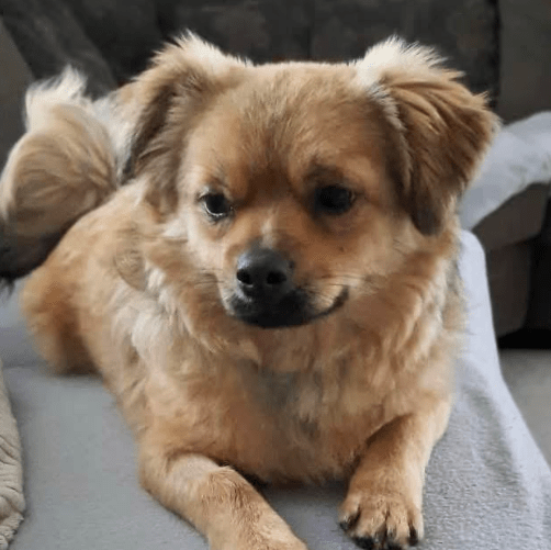 2026 01 23 18 35 06 Posteingang Sina.Rieke Kroeger@oetker.com Outlook