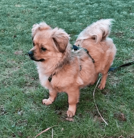 2026 01 23 18 35 14 Posteingang Sina.Rieke Kroeger@oetker.com Outlook