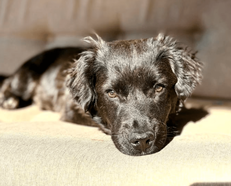 2026 01 26 10 32 24 Posteingang Sina.Rieke Kroeger@oetker.com Outlook