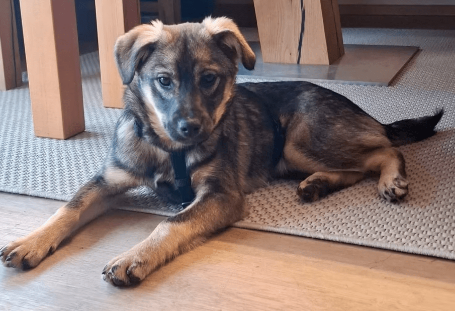 2026 01 26 10 52 17 Posteingang Sina.Rieke Kroeger@oetker.com Outlook