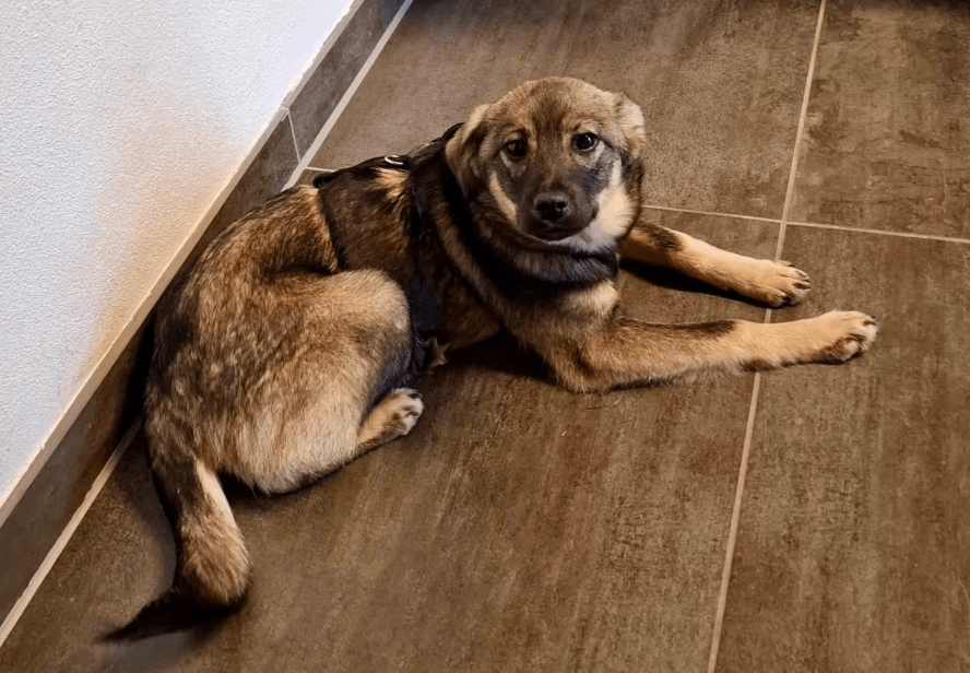 2026 01 26 10 52 21 Posteingang Sina.Rieke Kroeger@oetker.com Outlook