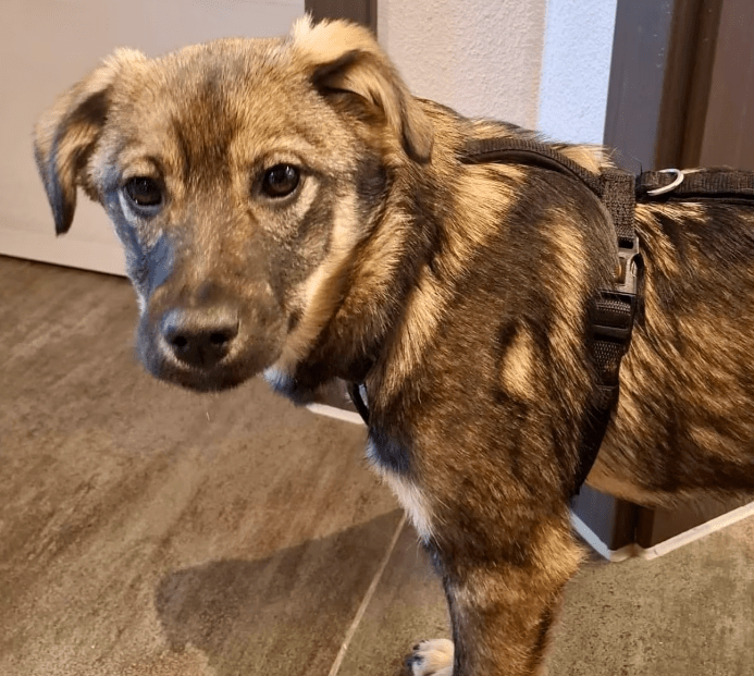 2026 01 26 10 52 25 Posteingang Sina.Rieke Kroeger@oetker.com Outlook