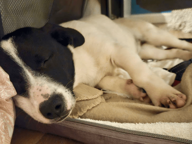 2026 01 31 16 45 36 Zellbiologie OneNote