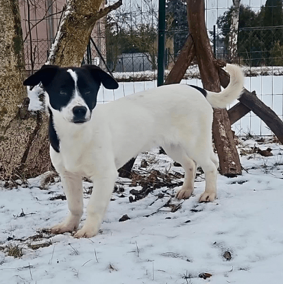 2026 01 31 16 45 45 Zellbiologie OneNote