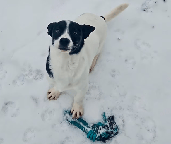 2026 01 31 16 45 49 Zellbiologie OneNote