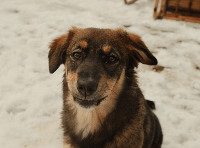 2026 02 06 18 26 56 Newsletter Subscription Nachricht (HTML) (Schreibgeschützt)