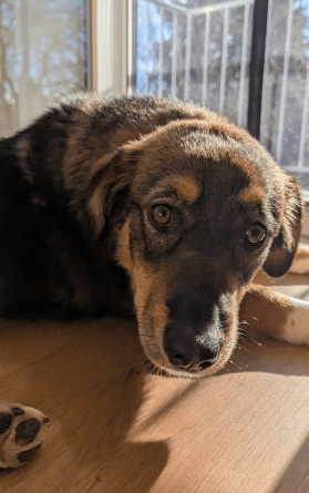 2026 02 06 18 27 00 Newsletter Subscription Nachricht (HTML) (Schreibgeschützt)