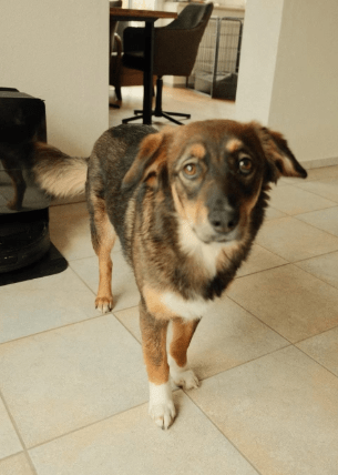 2026 02 06 18 27 03 Newsletter Subscription Nachricht (HTML) (Schreibgeschützt)