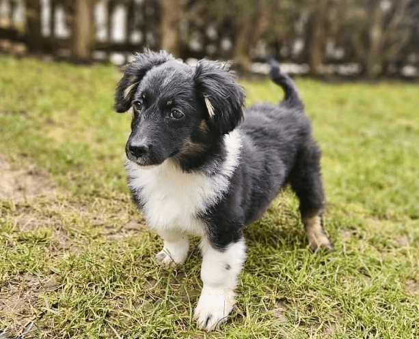 2026 02 09 08 40 08 Newsletter Subscription Nachricht (HTML) (Schreibgeschützt)