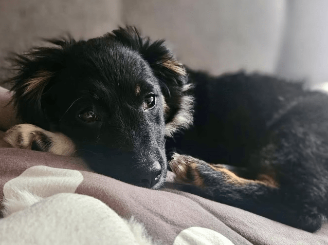 2026 02 09 08 40 13 Newsletter Subscription Nachricht (HTML) (Schreibgeschützt)