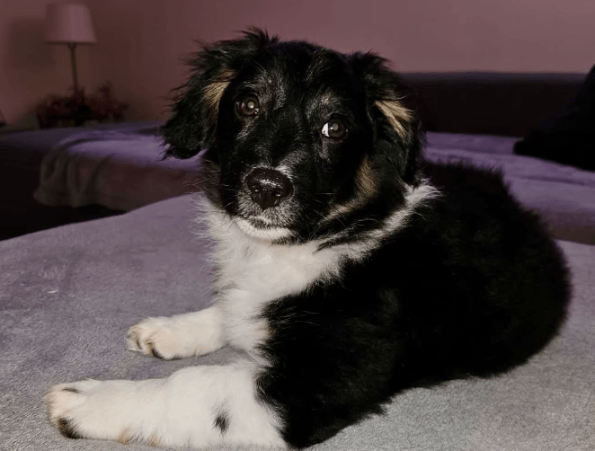 2026 02 09 08 40 18 Newsletter Subscription Nachricht (HTML) (Schreibgeschützt)