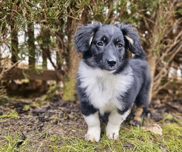 2026 02 09 08 40 27 Newsletter Subscription Nachricht (HTML) (Schreibgeschützt)