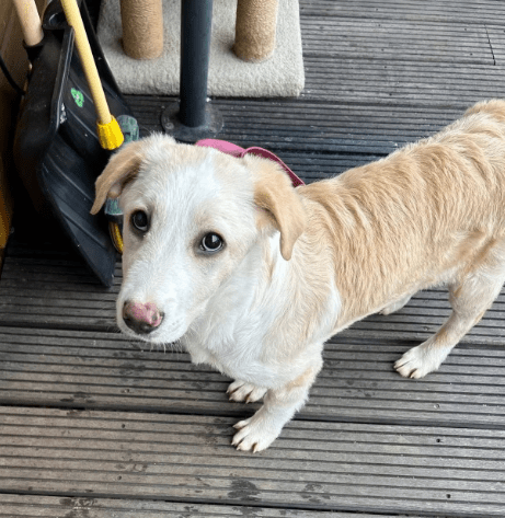 2026 02 09 08 58 46 Newsletter Subscription Nachricht (HTML) (Schreibgeschützt)