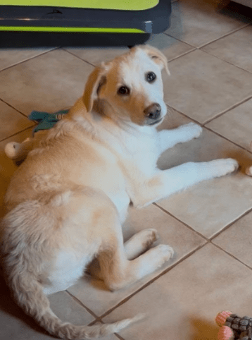 2026 02 09 08 58 50 Newsletter Subscription Nachricht (HTML) (Schreibgeschützt)