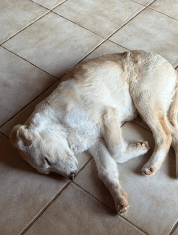 2026 02 09 08 58 54 Newsletter Subscription Nachricht (HTML) (Schreibgeschützt)