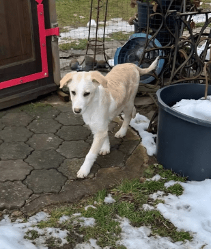 2026 02 09 08 58 58 Newsletter Subscription Nachricht (HTML) (Schreibgeschützt)