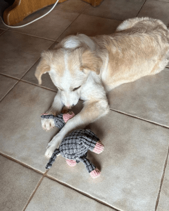 2026 02 09 08 59 02 Newsletter Subscription Nachricht (HTML) (Schreibgeschützt)