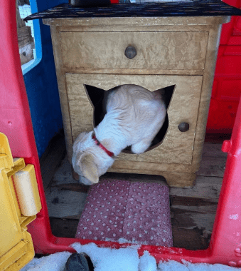 2026 02 09 08 59 14 Newsletter Subscription Nachricht (HTML) (Schreibgeschützt)