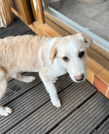 2026 02 09 08 59 20 Newsletter Subscription Nachricht (HTML) (Schreibgeschützt)