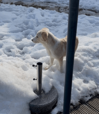 2026 02 09 08 59 25 Newsletter Subscription Nachricht (HTML) (Schreibgeschützt)