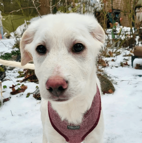 2026 02 13 11 12 09 SMC2SAPEmarsys Process Description.pptx PowerPoint