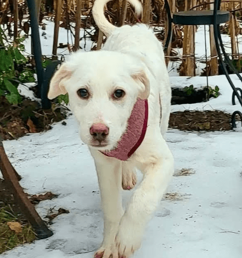 2026 02 13 11 12 13 SMC2SAPEmarsys Process Description.pptx PowerPoint