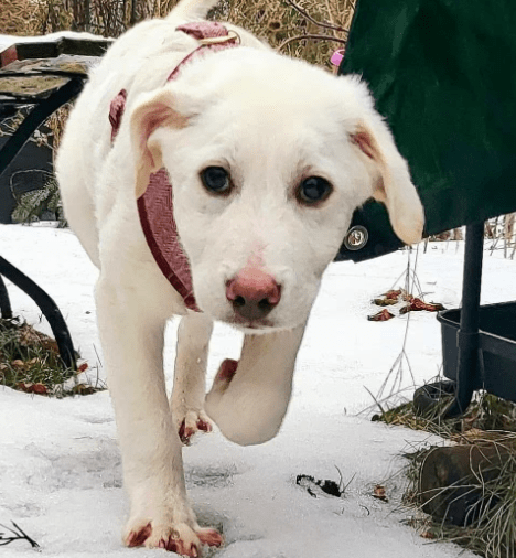 2026 02 13 11 12 18 SMC2SAPEmarsys Process Description.pptx PowerPoint