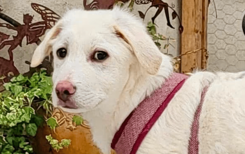 2026 02 13 11 12 24 SMC2SAPEmarsys Process Description.pptx PowerPoint