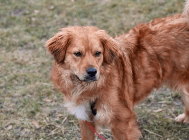 2026 02 25 12 51 13 Implementation Partner Search – Datei Explorer