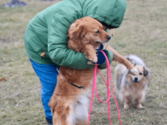 2026 02 25 12 51 22 Implementation Partner Search – Datei Explorer