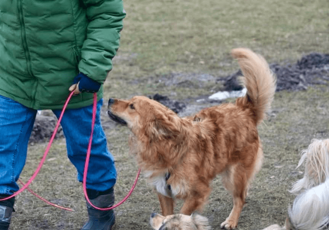 2026 02 25 12 51 30 Implementation Partner Search – Datei Explorer