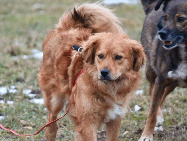 2026 02 25 12 51 36 Implementation Partner Search – Datei Explorer