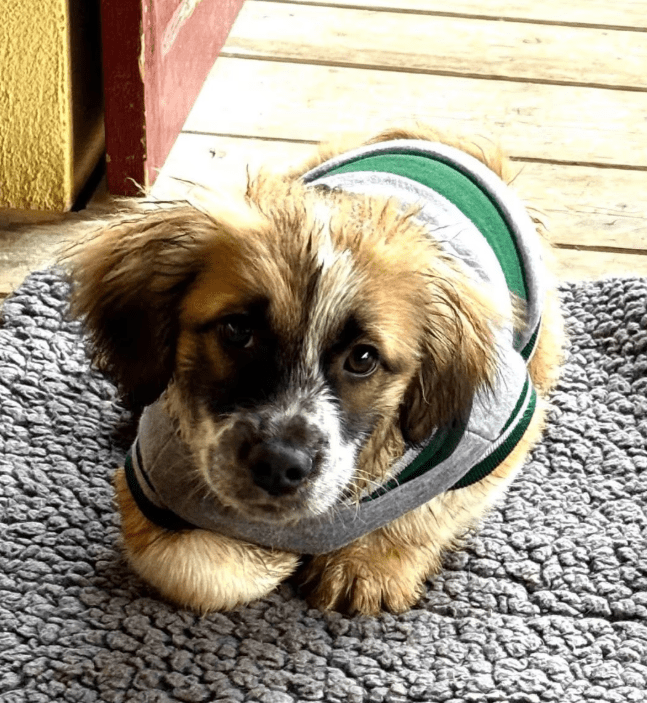 2026 03 03 13 11 25 Chat Baumgarten, Magnus, Moritz Kramer (DE) Microsoft Teams