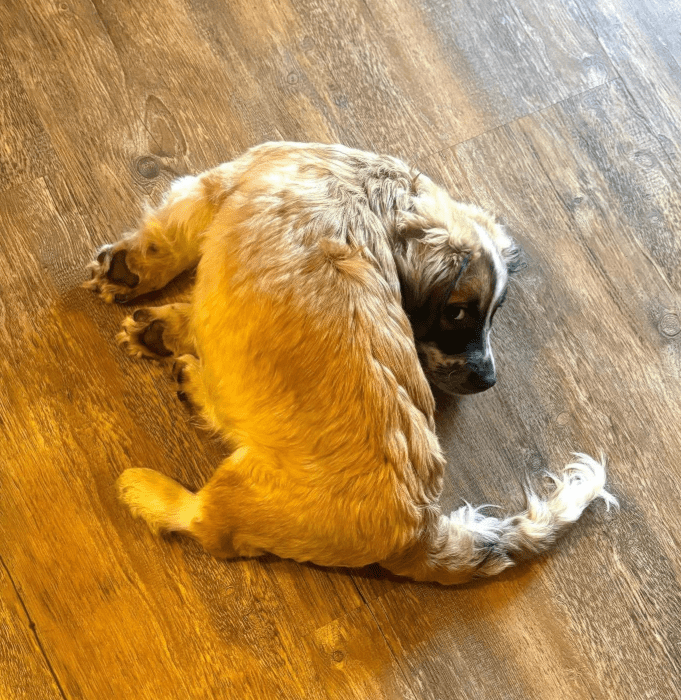 2026 03 03 13 11 33 Chat Baumgarten, Magnus, Moritz Kramer (DE) Microsoft Teams