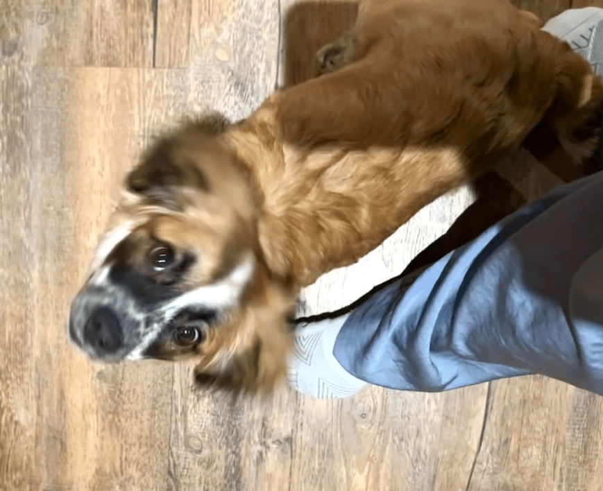 2026 03 03 13 11 37 Chat Baumgarten, Magnus, Moritz Kramer (DE) Microsoft Teams