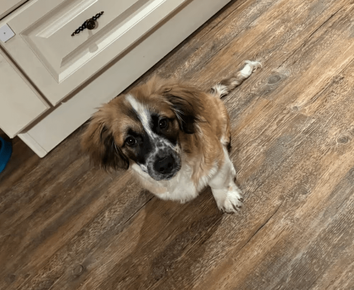 2026 03 03 13 11 42 Chat Baumgarten, Magnus, Moritz Kramer (DE) Microsoft Teams