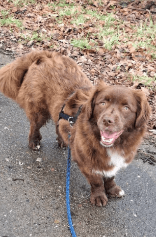 2026 03 04 11 49 36 Desktop – Datei Explorer