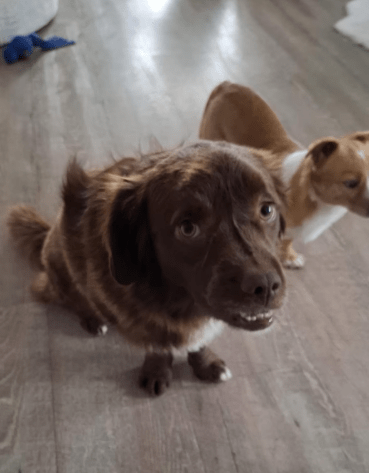 2026 03 04 11 49 40 Desktop – Datei Explorer