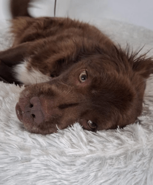 2026 03 04 11 49 45 Desktop – Datei Explorer