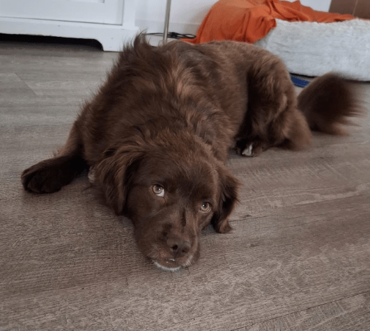 2026 03 04 11 49 51 Desktop – Datei Explorer