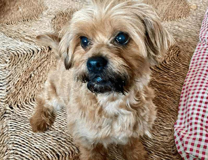 2026 03 25 20 38 10 Posteingang Sina.Rieke Kroeger@oetker.com Outlook