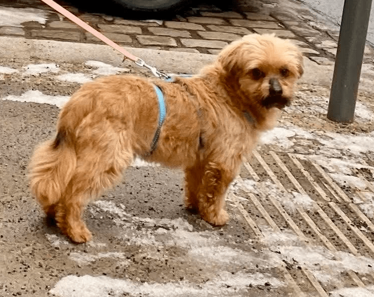 2026 03 25 20 38 15 Posteingang Sina.Rieke Kroeger@oetker.com Outlook