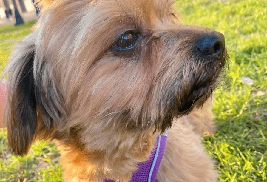 2026 03 25 20 38 19 Posteingang Sina.Rieke Kroeger@oetker.com Outlook