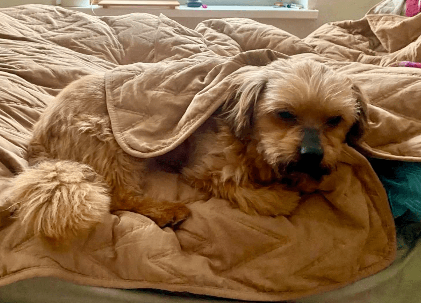 2026 03 25 20 38 24 Posteingang Sina.Rieke Kroeger@oetker.com Outlook