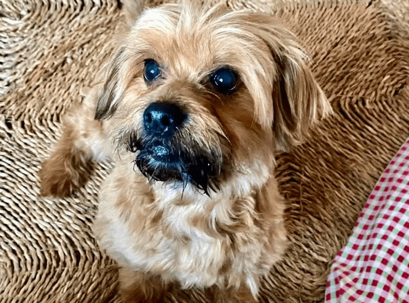 2026 03 25 20 38 28 Posteingang Sina.Rieke Kroeger@oetker.com Outlook