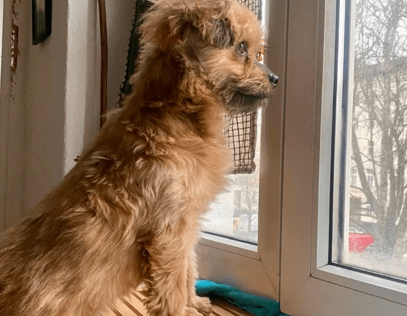 2026 03 25 20 38 35 Posteingang Sina.Rieke Kroeger@oetker.com Outlook