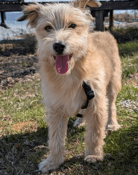 2026 04 13 10 18 15 Posteingang Sina.Rieke Kroeger@oetker.com Outlook