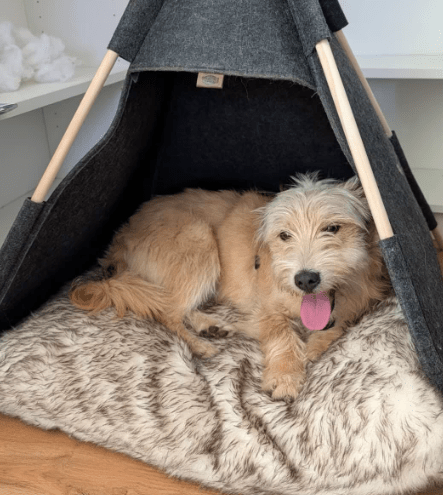 2026 04 13 10 18 19 Posteingang Sina.Rieke Kroeger@oetker.com Outlook