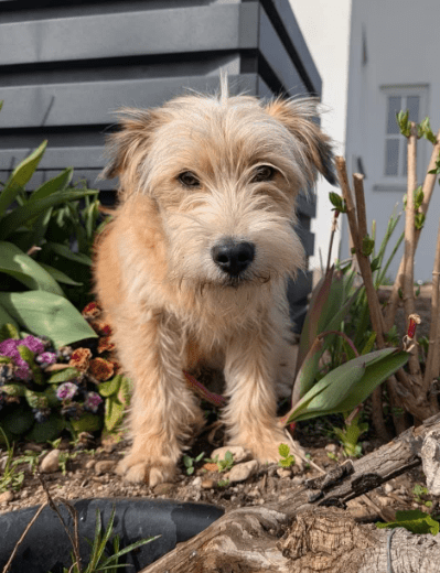 2026 04 13 10 18 22 Posteingang Sina.Rieke Kroeger@oetker.com Outlook