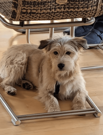 2026 04 13 10 18 26 Posteingang Sina.Rieke Kroeger@oetker.com Outlook